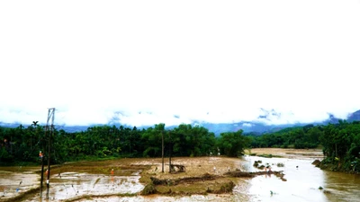 Quảng Ngãi đẩy mạnh khắc phục hậu quả sau lũ, bảo vệ môi trường