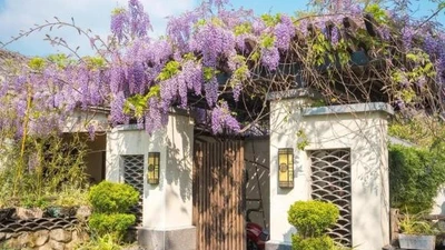 4 thứ để trước cửa nhà, Thần Tài sẽ quay lưng rời đi