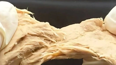 Phát minh loài nấm giàu protein có vị giống hệt thịt