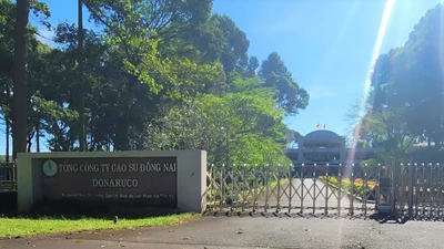 Nhiều sai phạm tài chính tại Tổng Công ty Cao su Đồng Nai