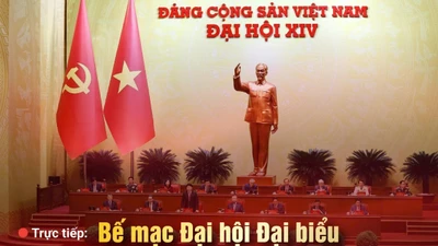 Thông qua Báo cáo thẩm tra tư cách đại biểu Đại hội XIV của Đảng