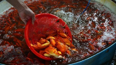 Chợ cá sôi động dịp Tết ông Công ông Táo