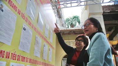 Kết thúc bỏ phiếu bầu cử, cả nước đạt tỷ lệ cử tri đi bầu trên 99%