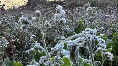 Rét đậm kéo dài, băng giá bao phủ các khu vực cao nguyên và núi cao phía Bắc