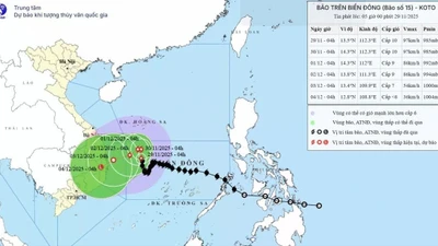 Cảnh báo gió mạnh và biển động dữ dội do bão số 15