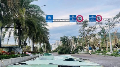 MTTQ Việt Nam phân bổ 30 tỷ đồng hỗ trợ các địa phương sau bão số 13 