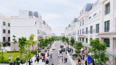  Asia Vibe thành điểm phải đến trên hành trình du lịch Móng Cái 