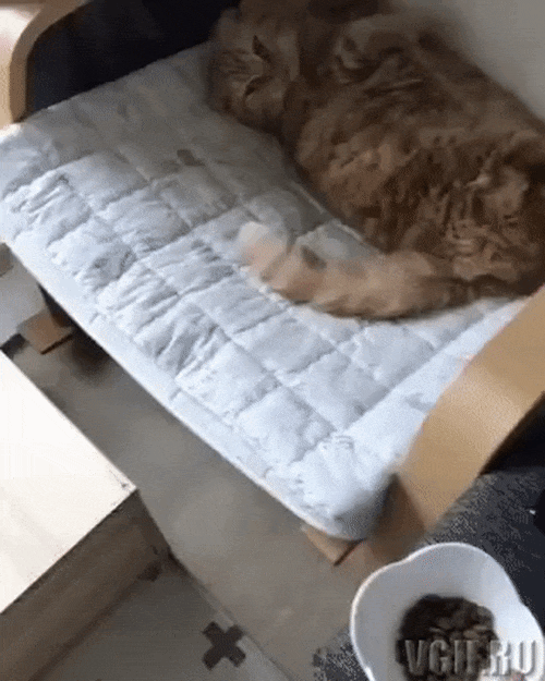 Món này không ngon, không ăn đâu nha.