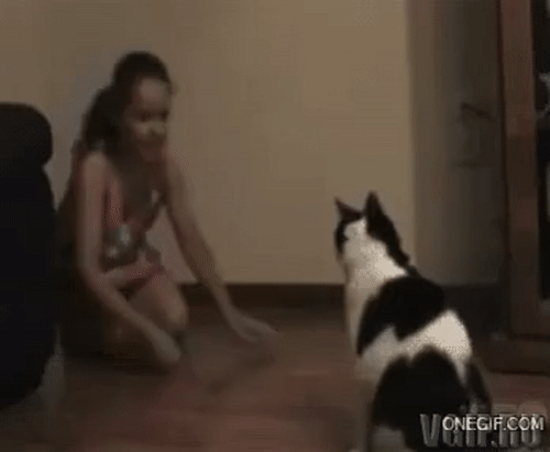 Con sen cười ngả nghiêng với các boss mèo lầy lội Con sen cuoi nga nghieng voi cac boss meo lay loi