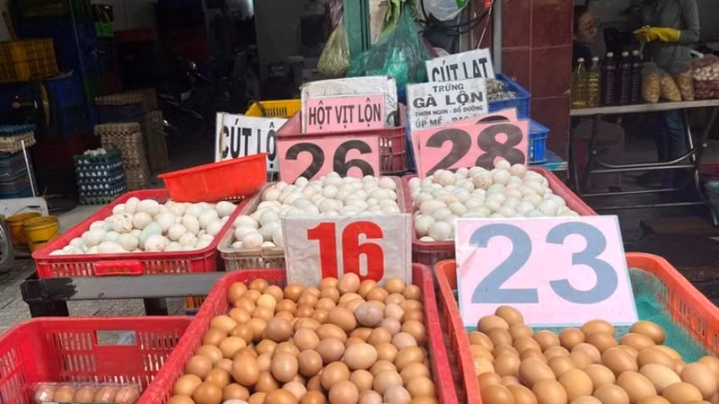 Nguồn cung vượt cầu, ngành gia cầm Việt gặp nhiều khó khăn hậu Tết