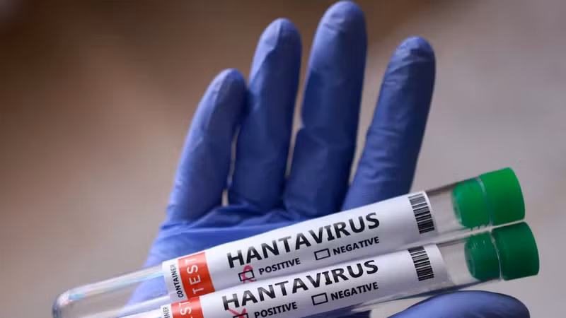 Hantavirus nguy cơ hạn chế, không dễ thành đại dịch