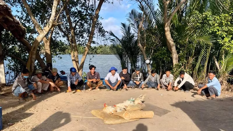 Đột kích đá gà ăn tiền tại Vĩnh Long, thu giữ nhiều tang vật liên quan