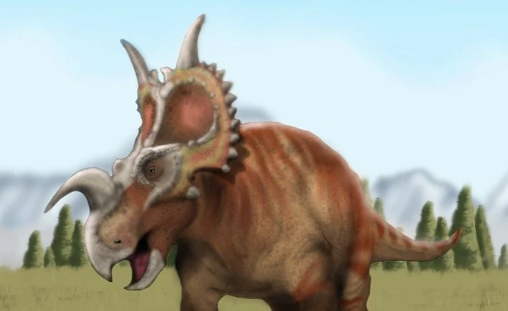 Einiosaurus: Loài khủng long sừng hình bò rừng và ý nghĩa của nó