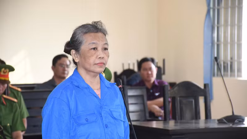 Nữ quái đăng thông tin xuyên tạc lĩnh án tù