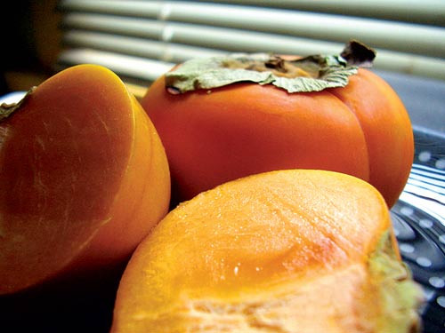 Nhanh lành sẹo mụn. Quả hồng chứa dồi dào chất catechins và polyphenolic, những hợp chất chống ôxy hóa mạnh có tác dụng kháng viêm và chống nhiễm trùng rất tốt. Nếu bạn muốn các vết thương trên da mau lành lặn thì nên ăn hồng thường xuyên để cải thiện vấn đề một cách hiệu quả hơn.