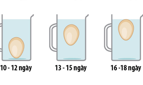 Dựa vào việc trứng nổi ở mức độ nào trong nước, bạn sẽ dễ dàng nhận biết được trứng nào đã để lâu ngày.