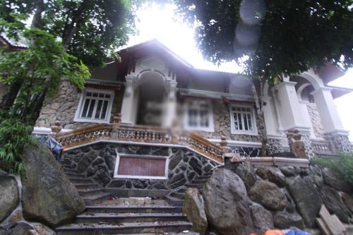 Đặc biệt, phía trước ngôi biệt thự còn có rất nhiều cây xanh cổ thụ.