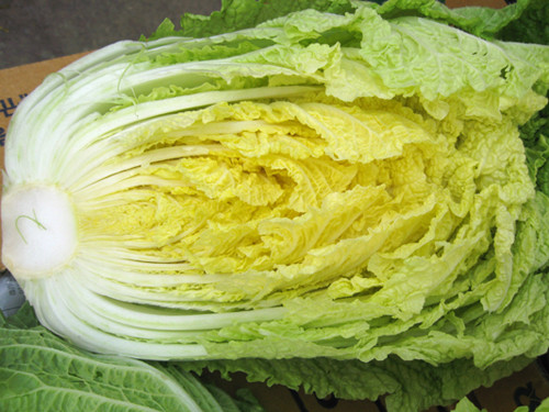 Cải thảo: 9.8mcg. Cải thảo có vị ngọt, tính mát, có tác dụng hạ khí, thanh nhiệt, chứa nhiều vitamin A, B, C, E. Hàm lượng nguyên tố vi lượng kẽm cao hơn cả thịt, cá. Cải thảo nấu chín chứa nhiều vitamin A, C, K, B2, B6, calcium, sắt, mangan, folat, cũng như nhiều thành phần hoạt chất có ảnh hưởng tốt đối với sức khỏe.