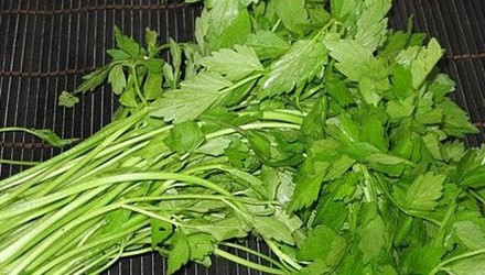 Rau cần: 160mcg. Rau cần chứa rất nhiều chất dinh dưỡng tốt cho cơ thể như vitamin C, nicotinic acid, carotene. Các chất dinh dưỡng có nhiều trong lá rau cần hơn là thân của rau cần.