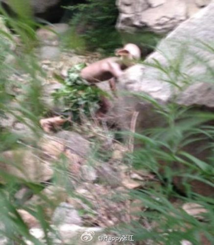 Kèm theo đó là những tranh cãi xung quanh việc có thật hay không của quái vật này. Mặc dù đã có một nickname tự nhận anh ta chính là "quái vật Gollum" này và anh chỉ đang quay phim thôi nhưng dư luận vẫn tỏ ra nghi ngờ và yêu cầu bằng chứng.