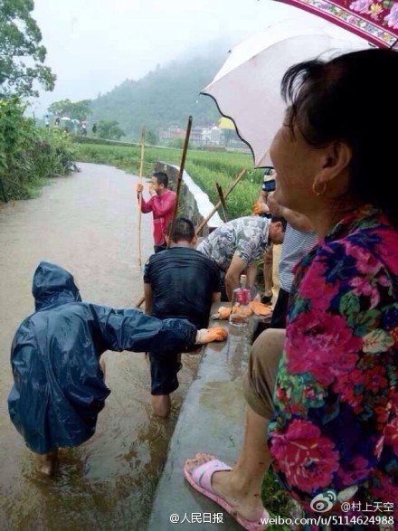 Trong khi người dân đang nỗ lực tìm kiếm thì quan to sợ ướt giày bắt cấp dưới cõng qua những đoạn nước ngập. Theo thông tin được biết, quan to trên là Phó chánh văn phòng thành phố Quý Khê, Vương Quân Hoa. Ngài quan to này đã trực tiếp đến hiện trường vụ tai nạn của 3 học sinh tiểu học ở thôn Lam Điền thuộc làng Bạch Điền bị rơi xuống nước trên đường đi học về, khiến 1 em thiệt mạng và 2 em mất tích.