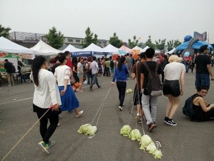 Họ dắt bắp cải đi khắp nơi, từ những chỗ đông người đến những những nơi vắng vẻ, dắt bắp cải đi thành hội hay chỉ đi một mình lang thang trong siêu thị hoặc chỉ đơn giản đi ngắm cảnh.