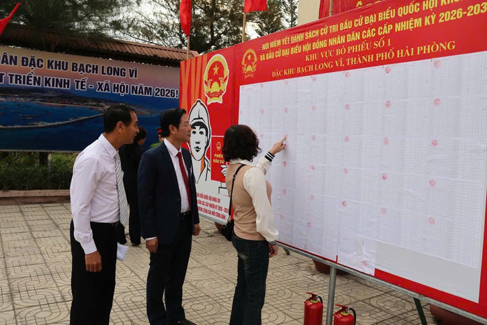 Đối với bầu cử đại biểu HĐND thành phố, đặc khu Bạch Long Vĩ thuộc đơn vị bầu cử số 9, gồm 6 phường Hải An, Đông Hải, Đồ Sơn, Nam Đồ Sơn, Dương Kinh, Hưng Đạo và hai đặc khu Cát Hải, Bạch Long Vĩ. Đơn vị bầu cử này có 8 người ứng cử, bầu 5 đại biểu.