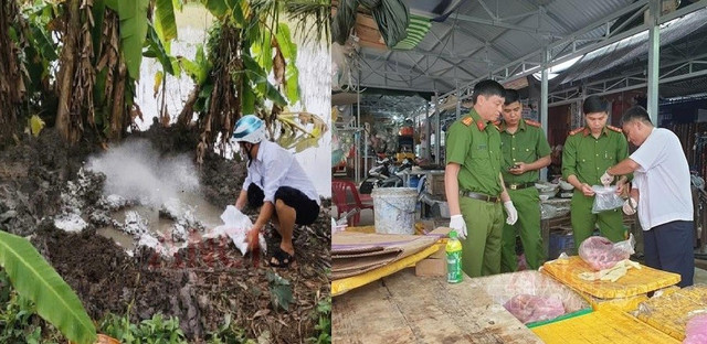 Đoàn kiểm tra lấy mẫu giám định tại sạp thịt lợn của bà C và tiêu hủy số thịt lợn nhiễm bệnh (Ảnh: CACT). 111.jpg