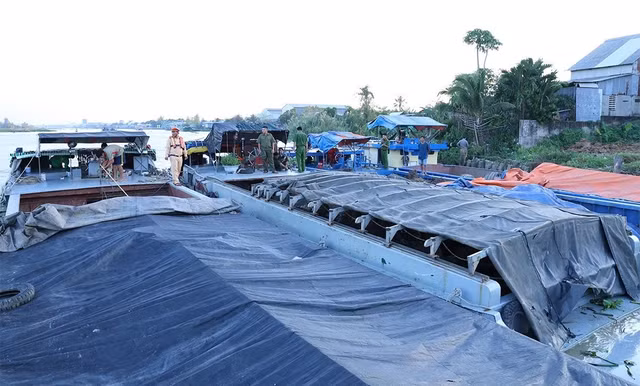 Các phương tiện bị bắt (Ảnh: ĐVCC)