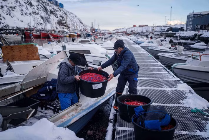 Trong ảnh, các ngư dân đang chuyển dây câu lên thuyền tại cảng Nuuk, Greenland, ngày 14/1/2026. Được biết, phần lớn dân số Greenland là người Inuit bản địa, còn lại chủ yếu là người gốc Đan Mạch. (Nguồn ảnh: AP)