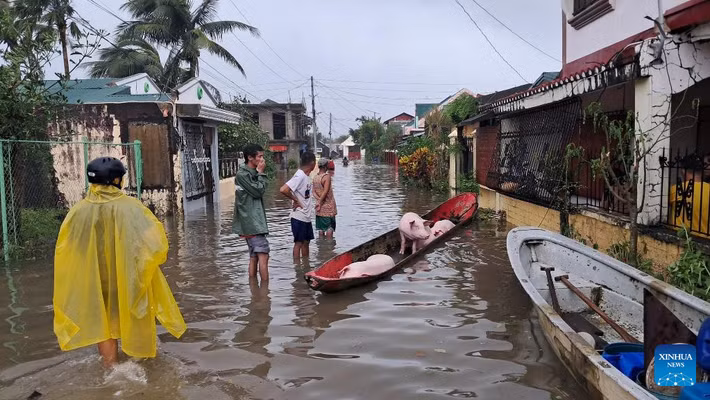 Một khu dân cư bị ngập do ảnh hưởng của bão ở tỉnh Catanduanes, Philippines, vào ngày 9/11. Ảnh: Xinhua.
