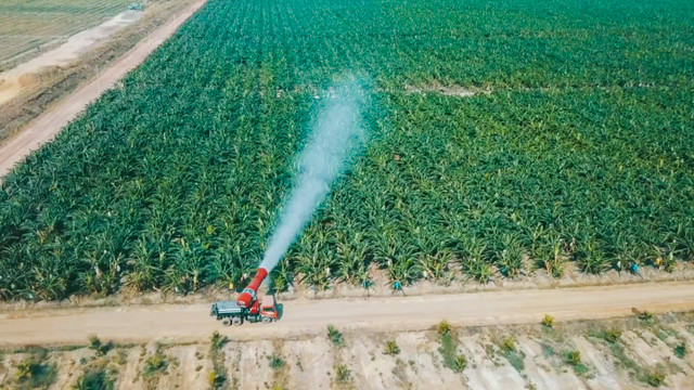 HAGL Agrico: Lỗ lũy kế hơn 8.000 tỷ đồng, dự đoán năm 2025 mới tăng trưởng HAGL Agrico: Lo luy ke hon 8.000 ty dong, du doan nam 2025 moi tang truong