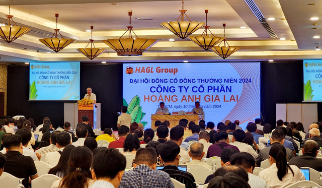 HAGL: Loạt lãnh đạo chủ chốt ra đi, 'núi nợ' và viễn cảnh mới - Hình 4 HAGL: Loat lanh dao chu chot ra di, 'nui no' va vien canh moi-Hinh-4