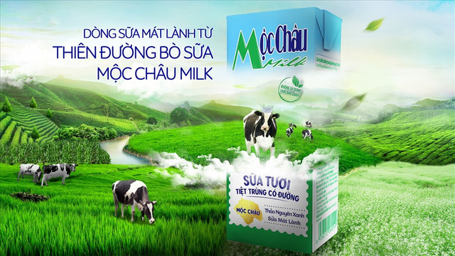 Mộc Châu Milk: Doanh thu sụt giảm, lợi nhuận chạm đáy Moc Chau Milk: Doanh thu sut giam, loi nhuan cham day