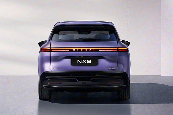 Theo hồ sơ đăng trên trang web của MIIT, Nissan NX8 sở hữu kích thước dài x rộng x cao lần lượt 4.870 x 1.920 x 1.680 mm và chiều dài cơ sở 2.917 mm. Trọng lượng không tải dao động từ 2.196-2.245 kg, tùy phiên bản trong khi trọng lượng toàn tải đạt 2.660 kg. Như vậy, mẫu xe này được định vị trong phân khúc SUV hạng D, cạnh tranh với những đối thủ như Hyundai Santa Fe.