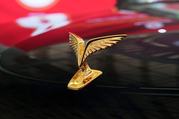 Có thể kể đến như logo mạ vàng biểu trưng cho cánh chim Lạc, mặt ca-lăng gợi nhắc hình ảnh Trống đồng Đông Sơn, các thanh nan xếp song song tượng trưng cho hàng tre Việt Nam… Cả phía trước và sau đều có dải đèn hình cánh chim đặc trưng của thương hiệu VinFast.