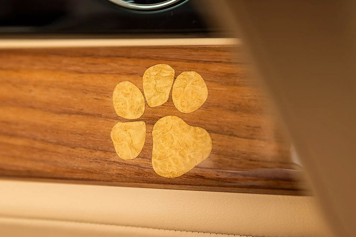 Spectre do BMW phát triển được sản xuất tại Goodwood trên nền tảng Architecture of Luxury. Nền tảng này đã ra mắt lần đầu tiên với Phantom, sau đó được áp dụng cho toàn bộ dòng xe Rolls-Royce. Phantom, Ghost nhỏ hơn, và Cullinan đều sử dụng động cơ V12 mạnh mẽ và hộp số tự động tám cấp của ZF.