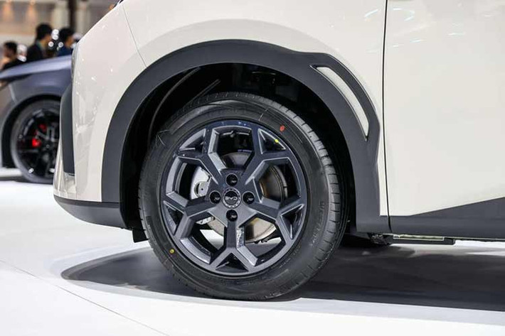 Cung cấp năng lượng cho mô-tơ điện là pin lithium-sắt-photphat (LFP) mang tên Blade của BYD với dung lượng 30,08 kWh, cho phạm vi hoạt động 300 km theo tiêu chuẩn NEDC hoặc khoảng 240 km theo chu trình WLTP. Phiên bản Dynamic hỗ trợ sạc chậm AC tối đa 6,6 kW và sạc nhanh DC tối đa 30 kW.