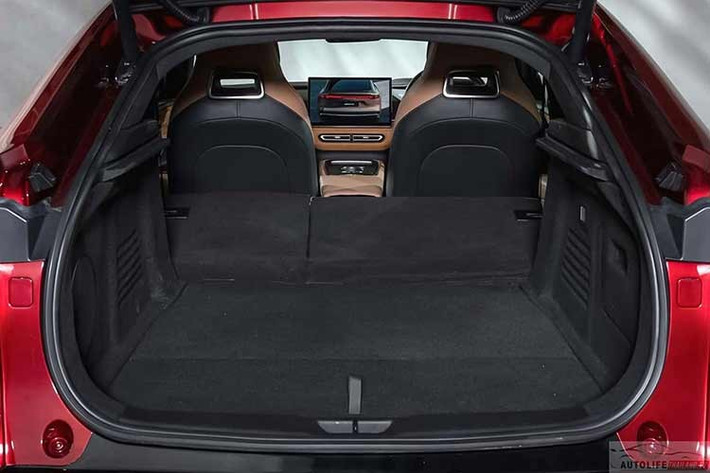 Khả năng tăng tốc 0–100 km/h trong 7,9 giây và tốc độ tối đa đạt 175 km/h. Xe hỗ trợ sạc AC tối đa 11 kW và sạc nhanh DC lên tới 194 kW. Theo công bố, xe có thể sạc từ 30% lên 80% chỉ trong 15 phút, đồng thời chỉ cần 15 phút sạc để di chuyển khoảng 235 km.