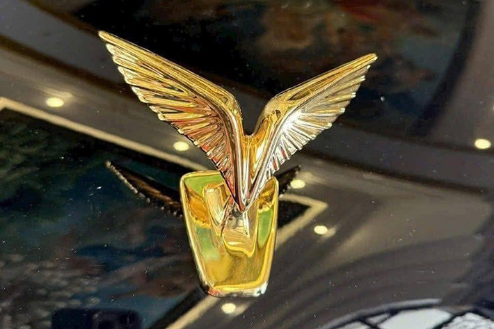 Dải LED cánh chim ở đầu xe Vinfast VF9 bản Lạc Hồng cũng được làm ngắn hơn do tạo hình lưới tản nhiệt mới. Đèn chiếu sáng đặt thấp hơn so với VF9 đang bán ra trên thị trường. Logo trên đầu xe được mạ vàng với hình chữu V cách điệu bằng đôi cánh.