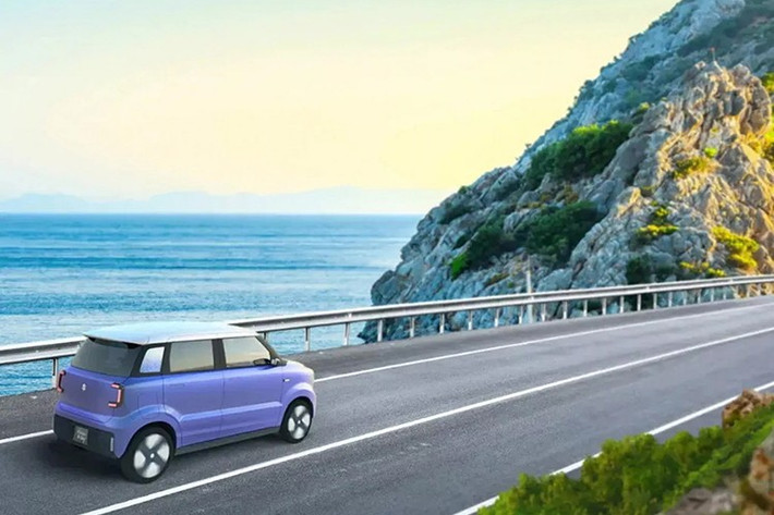 Hiện tại, thông tin chi tiết về mẫu xe điện này vẫn còn khá ít. Tuy nhiên, theo một báo cáo trước đó, Suzuki có thể phát triển một mẫu xe hatchback thuần điện dành riêng cho thị trường Ấn Độ.