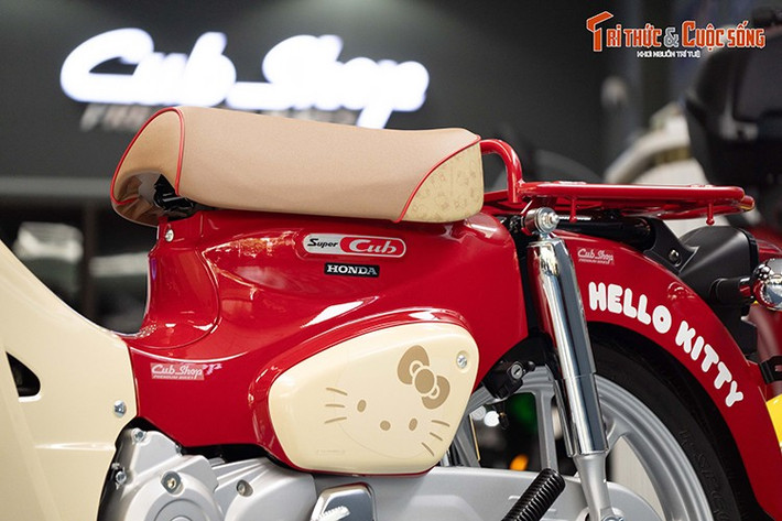 Cả hai phiên bản này mang đặc trưng về diện mạo hướng đến nhiều nhóm người dùng khác nhau. Từ những bậc phụ huynh đang tìm kiếm phương tiện di chuyển an toàn, tiết kiệm kết hợp phong cách cổ điển cùng sự vui nhộn cho con cái sử dụng đi học, cho đến những bạn trẻ cá tính, thích khác biệt và muốn khẳng định phong cách cá nhân.