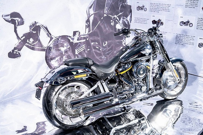 Giá bán cho phiên bản Gray Ghost tại Việt Nam là 1,599 tỷ đồng, trong khi Fat Boy tiêu chuẩn có giá 939 triệu đồng. Được biết, toàn bộ 4 chiếc Gray Ghost đầu tiên nhập về thị trường Việt Nam đều đã có chủ.