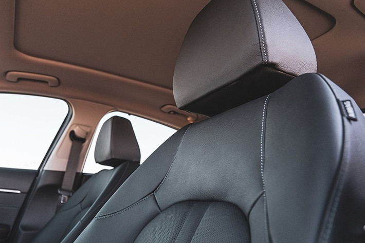 Một điểm mới đáng chú ý là khả năng cá nhân hóa kỹ thuật số. Chủ xe có thể mua và tải về các chủ đề hiển thị tùy chỉnh cho bảng đồng hồ và màn hình giải trí thông qua Bluelink Store.