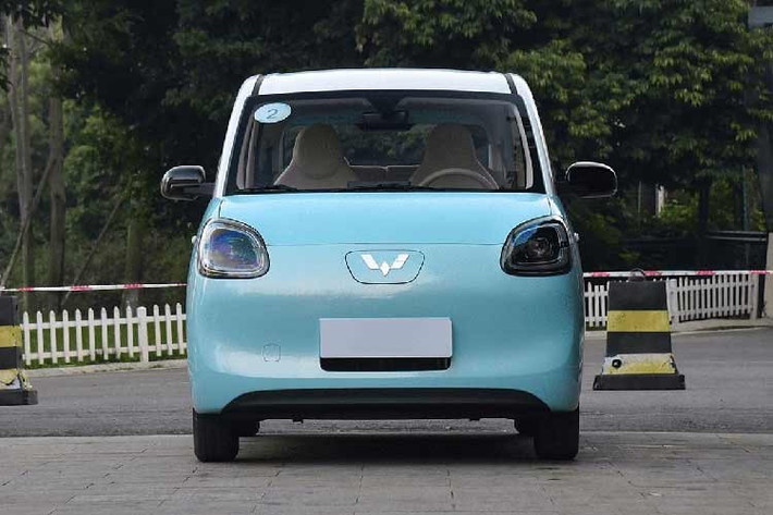 Tuy rẻ nhưng Wuling Hongguang Mini EV lại không thực sự được ưa chuộng tại Việt Nam vì kích thước nhỏ, xuất xứ Trung Quốc, trang bị tiện nghi và an toàn nghèo nàn. Đặc biệt, xe còn có một bất lợi lớn là chỉ có thể sạc tại nhà. Điều này khiến Wuling Hongguang Mini EV nhanh chóng bị lép vế khi đối thủ nội địa là VinFast VF3 đè bẹp.