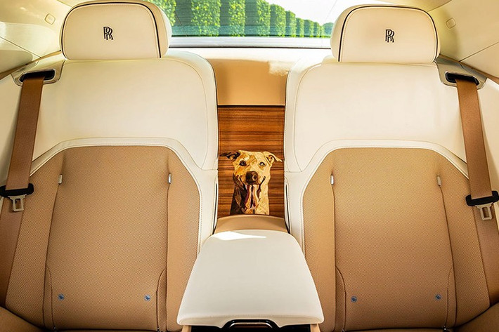 Chỉ biết rằng, Rolls-Royce Spectre sẽ có giá mặc định gần 400.000 đô la tại Hoa Kỳ. Phiên bản Black Badge cao cấp hơn có giá gần 470.000 đô la chưa bao gồm các tùy chọn bổ sung, nghĩa là một chiếc Spectre được trang bị tùy chọn khiêm tốn có giá bán lẻ là nửa triệu đô la.