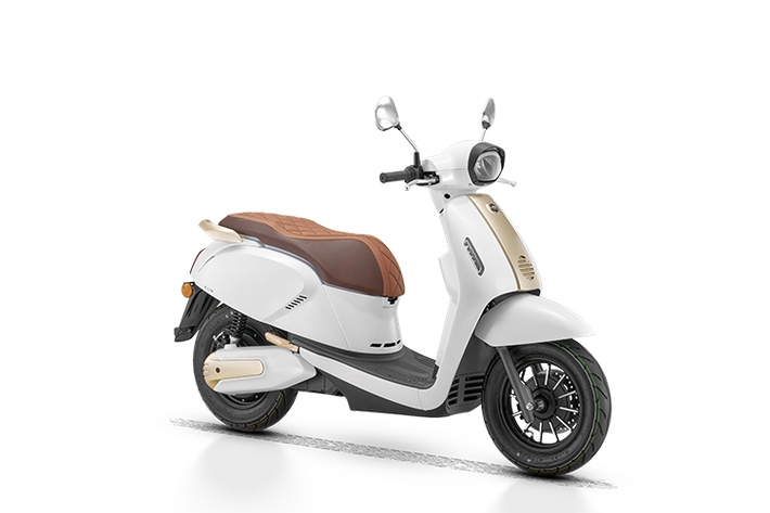 E-LTR là sản phẩm xe máy điện đầu tiên của QJMotor được giới thiệu tại thị trường Malaysia, mang thiết kế cổ điển đặc trưng của châu Âu và có hai lựa chọn màu sắc: Xanh Đậm và Trắng.