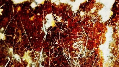 Phát hiện hình khắc đá cổ ở Iran nghi chân dung vua Ba Tư gây chú ý