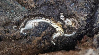 Bí ẩn về tượng rồng bạc mạ vàng trong lăng mộ Hung Nô cổ