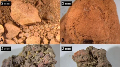 Khám phá mạng lưới trao đổi xa xôi của cộng đồng cổ đại Phần Lan